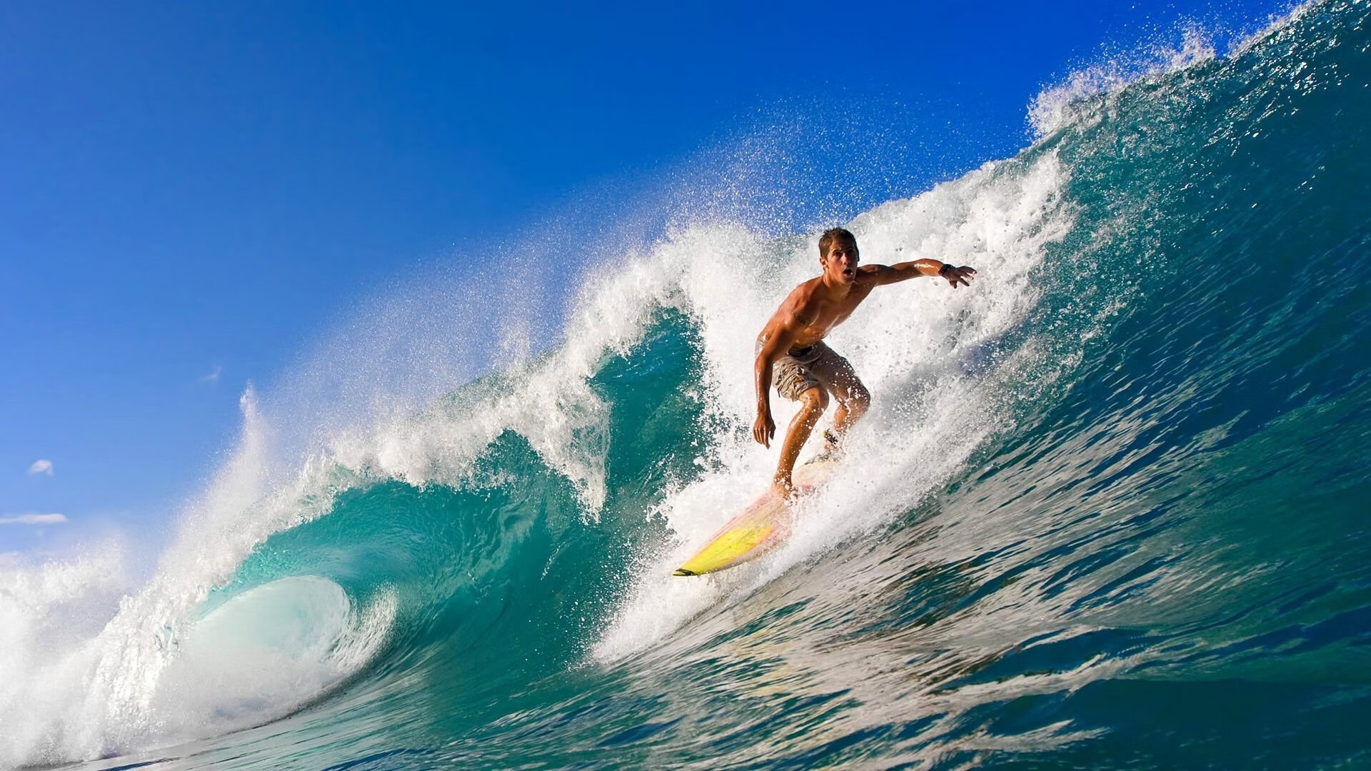 米兰app-世俱杯小组赛亮点：非洲、亚洲球队纷纷亮相，2021年世俱杯和2023年亚洲杯